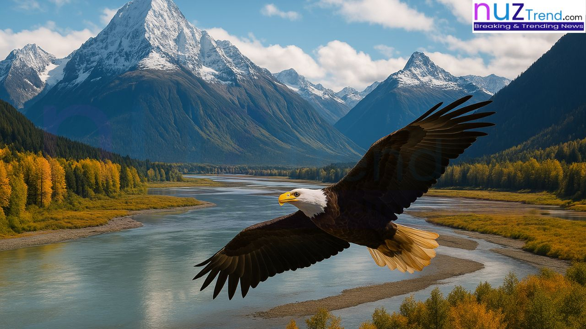 Scenic view of Alaska’s Chilkat Bald Eagle Preserve with snowy mountains and river landscape