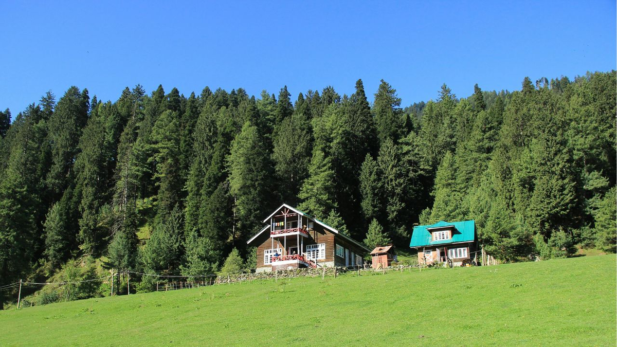 Amit Shah Urges Action: Send Back Pakistani Nationals After Pahalgam Terror Attack