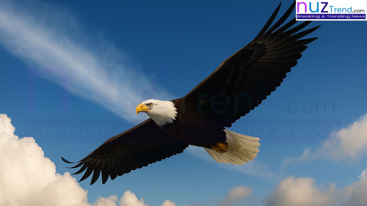 A bald eagle flying high through the clouds like a fighter jet, symbolizing freedom and power