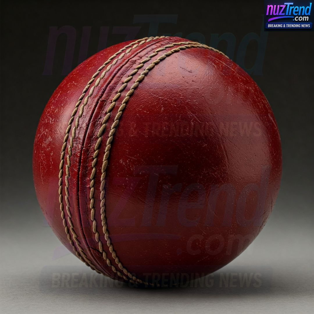 Classic Red Cricket Ball