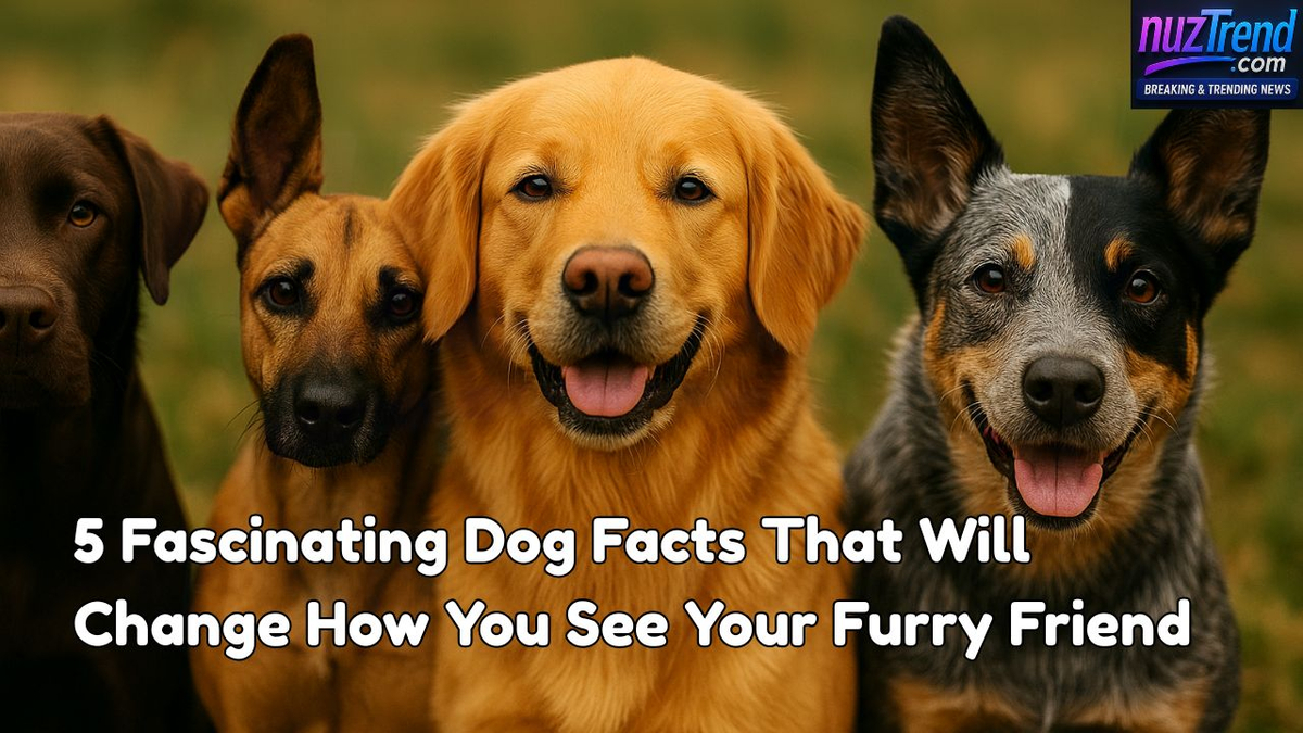 5 Fascinating Dog Facts That Will Change How You See Your Furry Friend