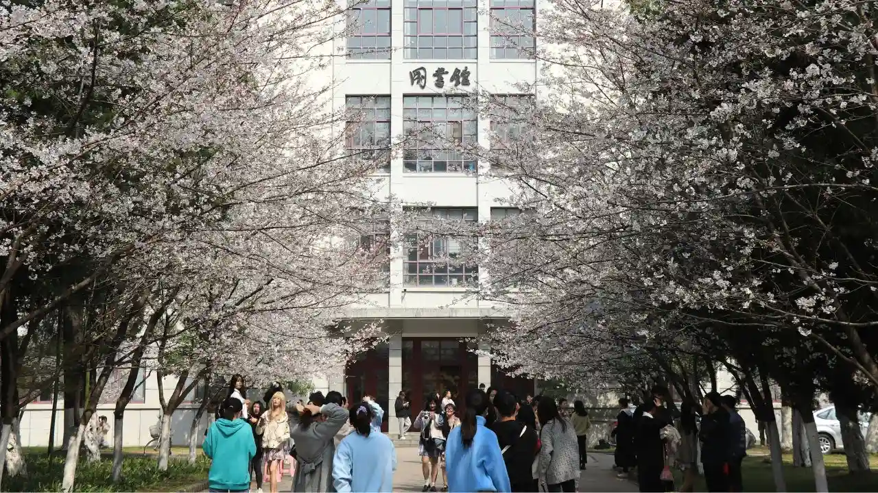 Japan Sees 1.5x Surge in Students Studying Abroad Post-Pandemic