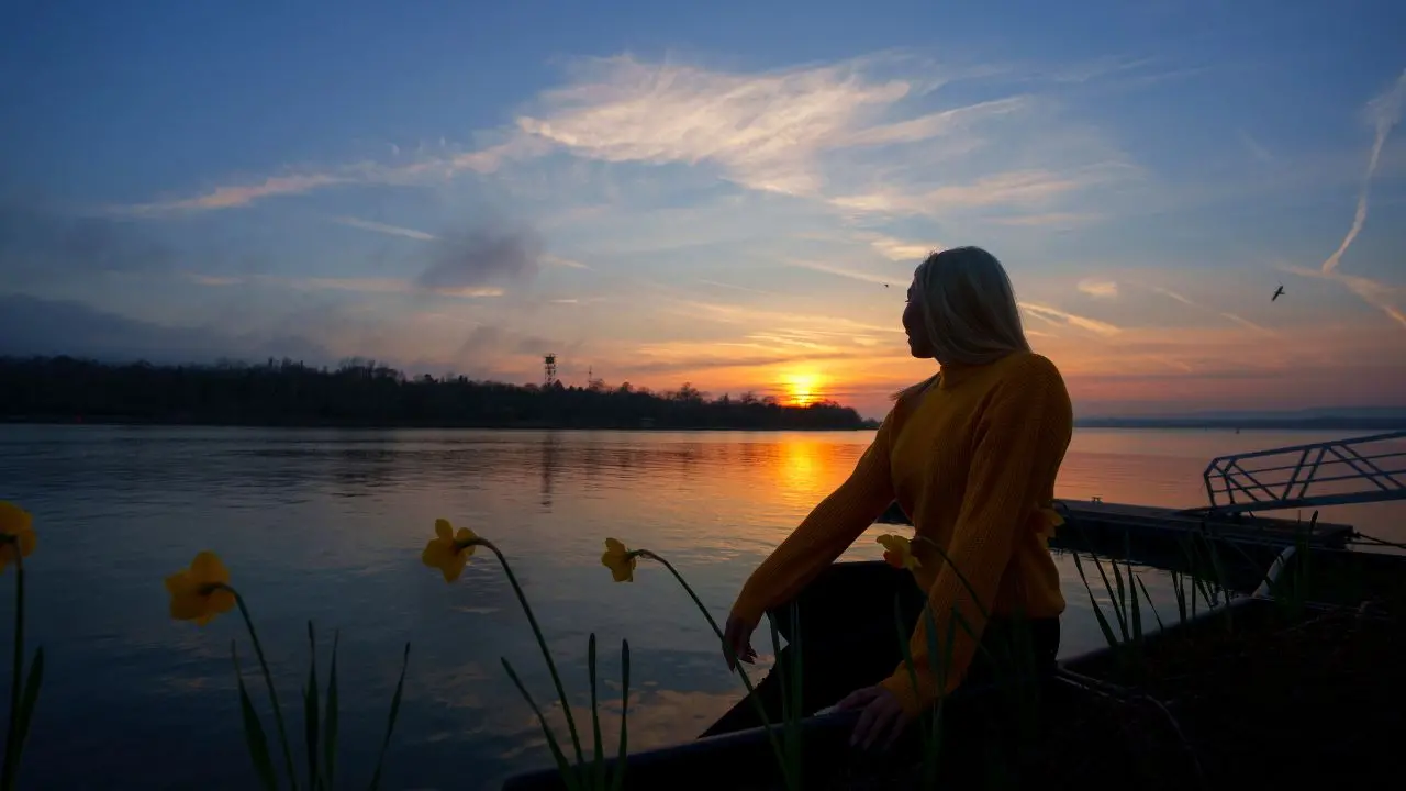 From Chaos to Clarity: 5-Minute Morning Habits That Rewire Your Brain for Success