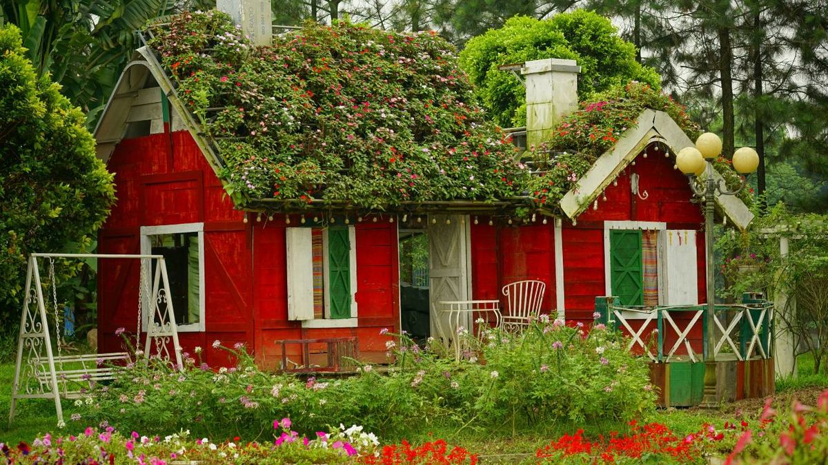 Why Norwegians Are Skipping Lawn Mowing This May — And Loving It
