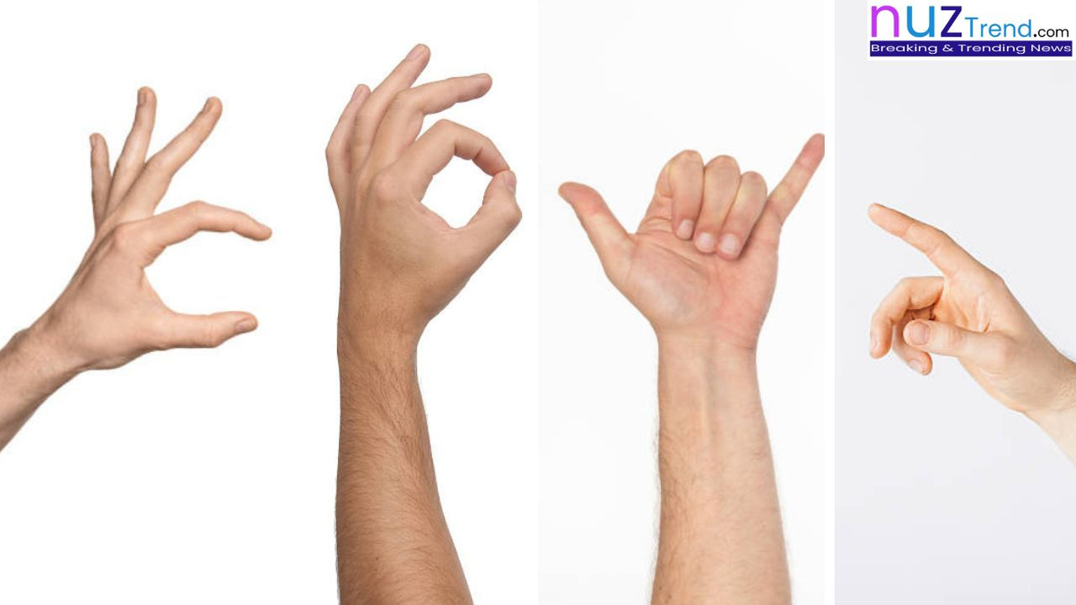 Palm Communication