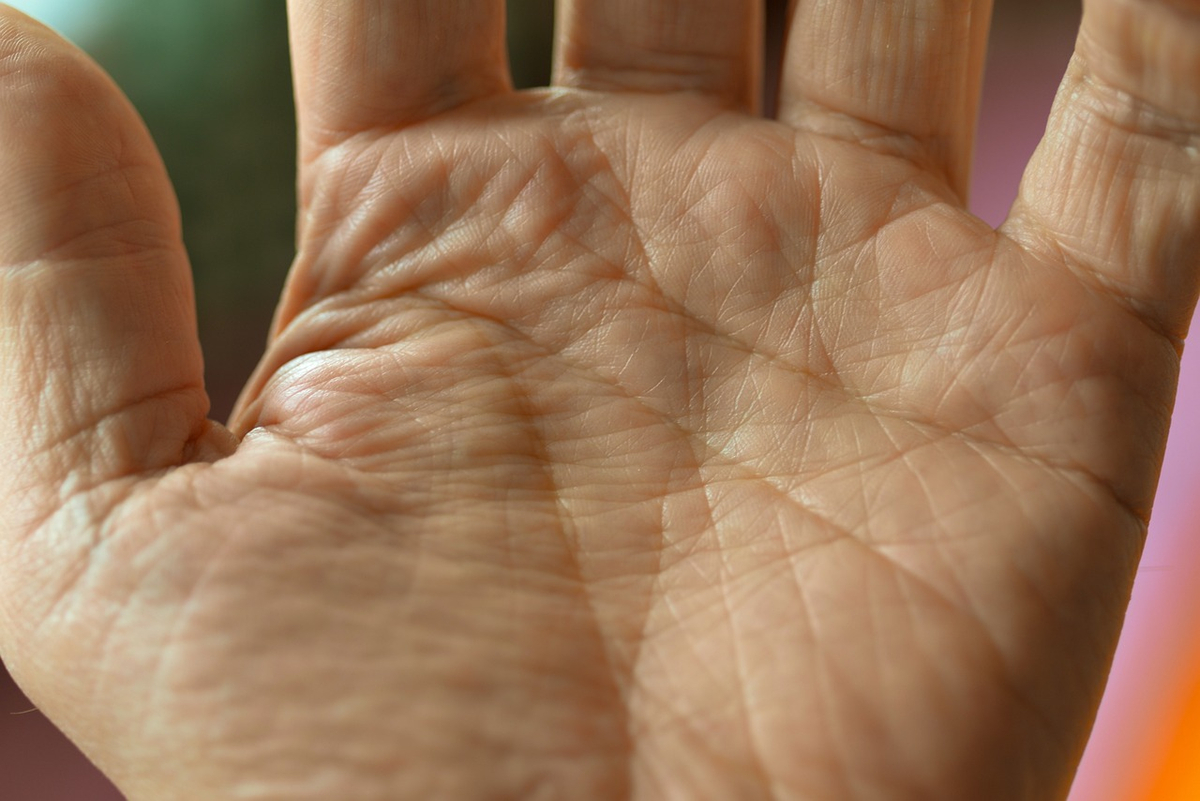 Palm Lines are Unique