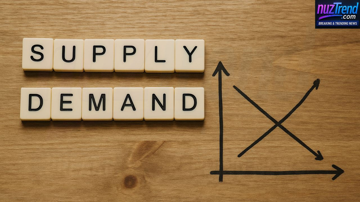 How Supply and Demand Rule Market Economies: A Clear Guide for Beginners