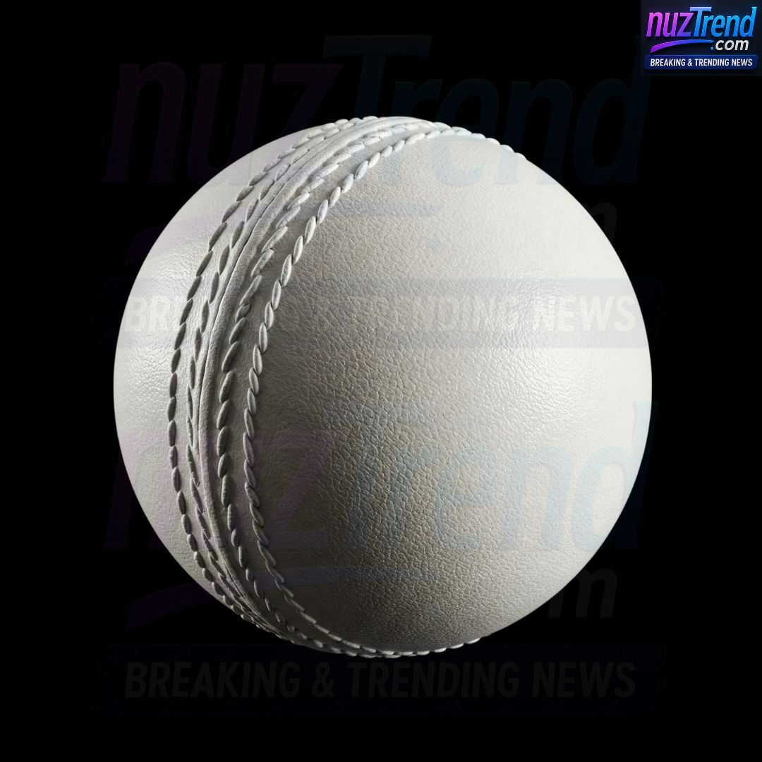 White Cricket Ball
