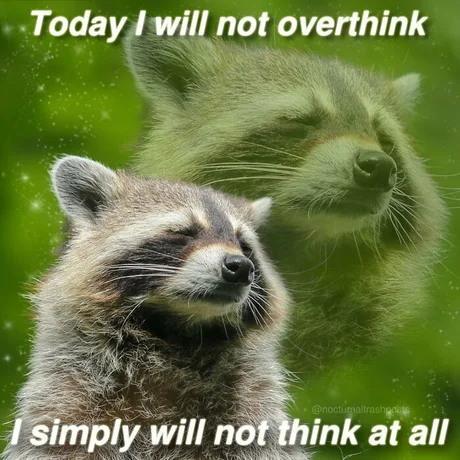Why Overthinking Is Overrated – A Raccoon's Peaceful Approach to Life